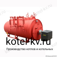 Газовый парогенератор 200 кг